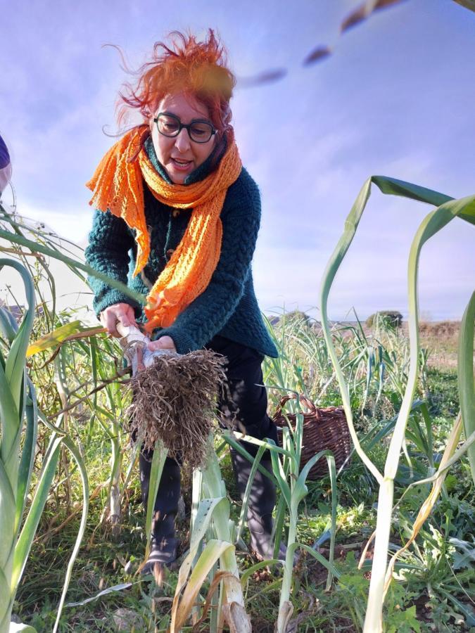 Turismo Rural La Ojinegra Alloza Kültér fotó